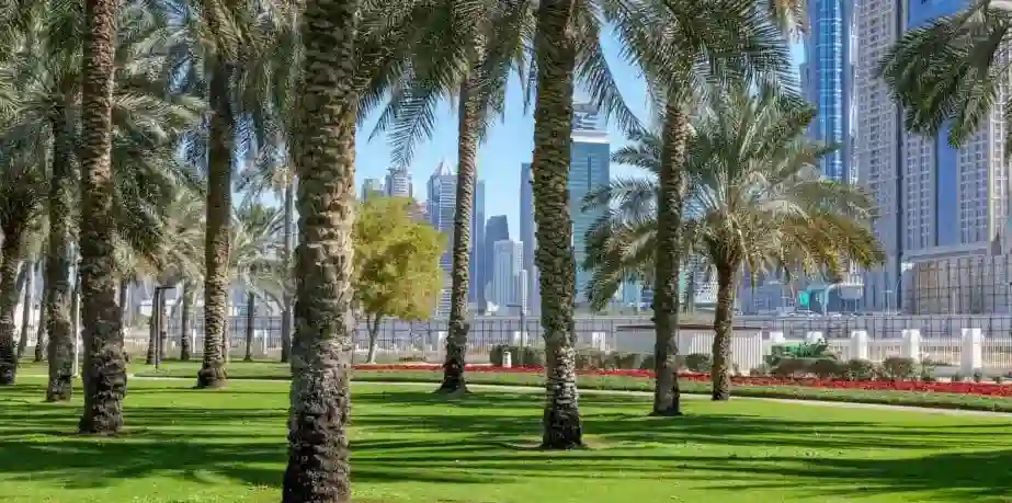 Safa Park Dubai